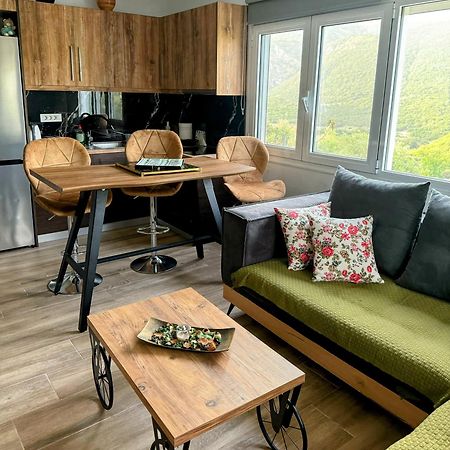 G.Tzanis Luxury Apartments 파르가 외부 사진